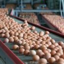 control en industria alimentaria