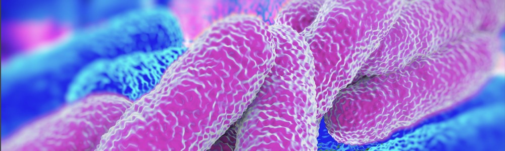 Eliminar legionella en Albacete