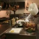 control de plagas en hosteleria