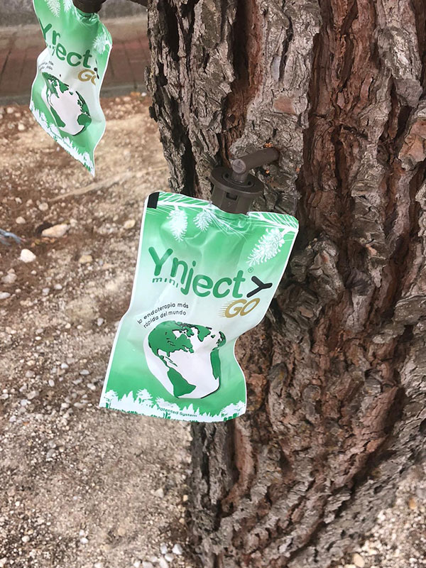 Aplicación ynject en árboles