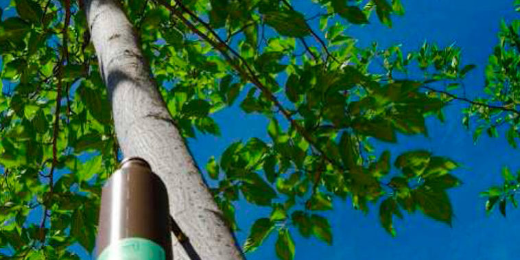 Beneficios del tratamiento ynject Beneficios del tratamiento ynject