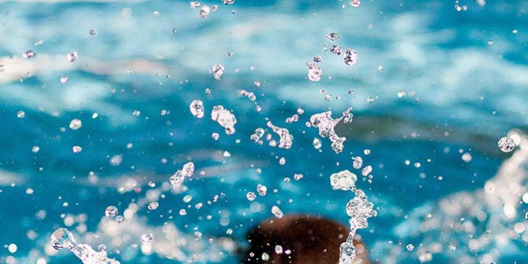 ¿Cómo eliminar avispas en la piscina? ¿Cómo eliminar avispas en la piscina?