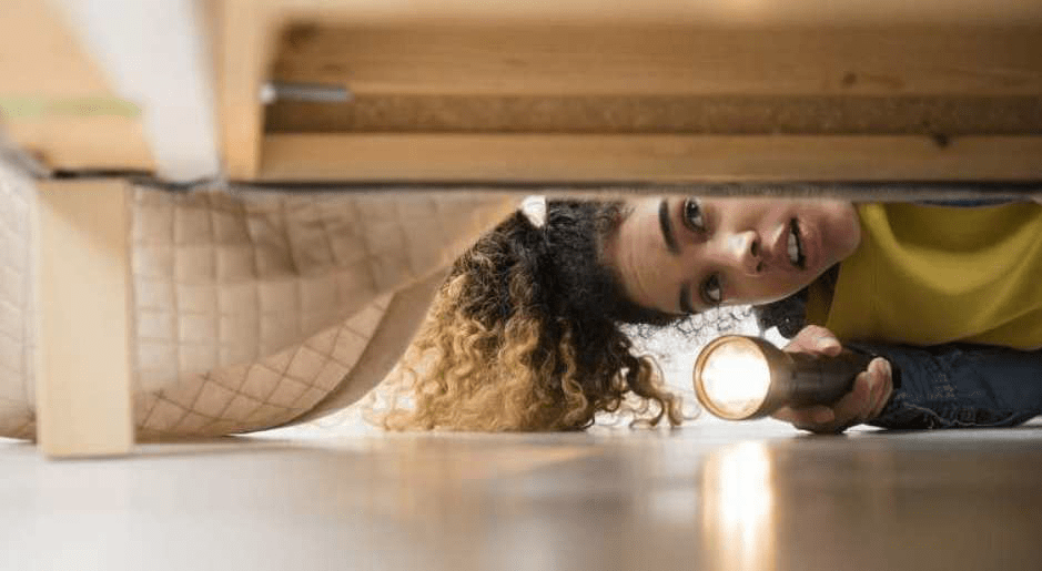 Inspecciona bien tu casa