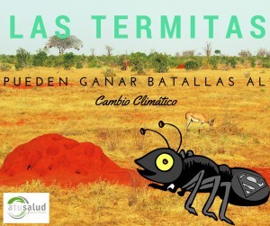 eliminar termitas
