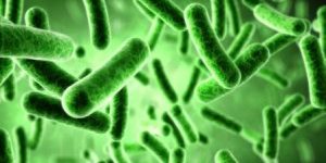 control de legionella
