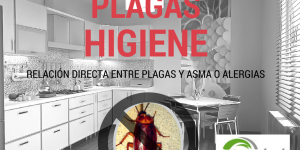 plagas desencadentes asma