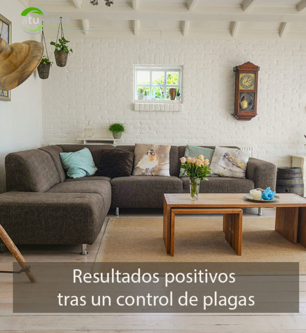 Resultados positivos tras un control de plagas