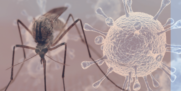 virus del nilo